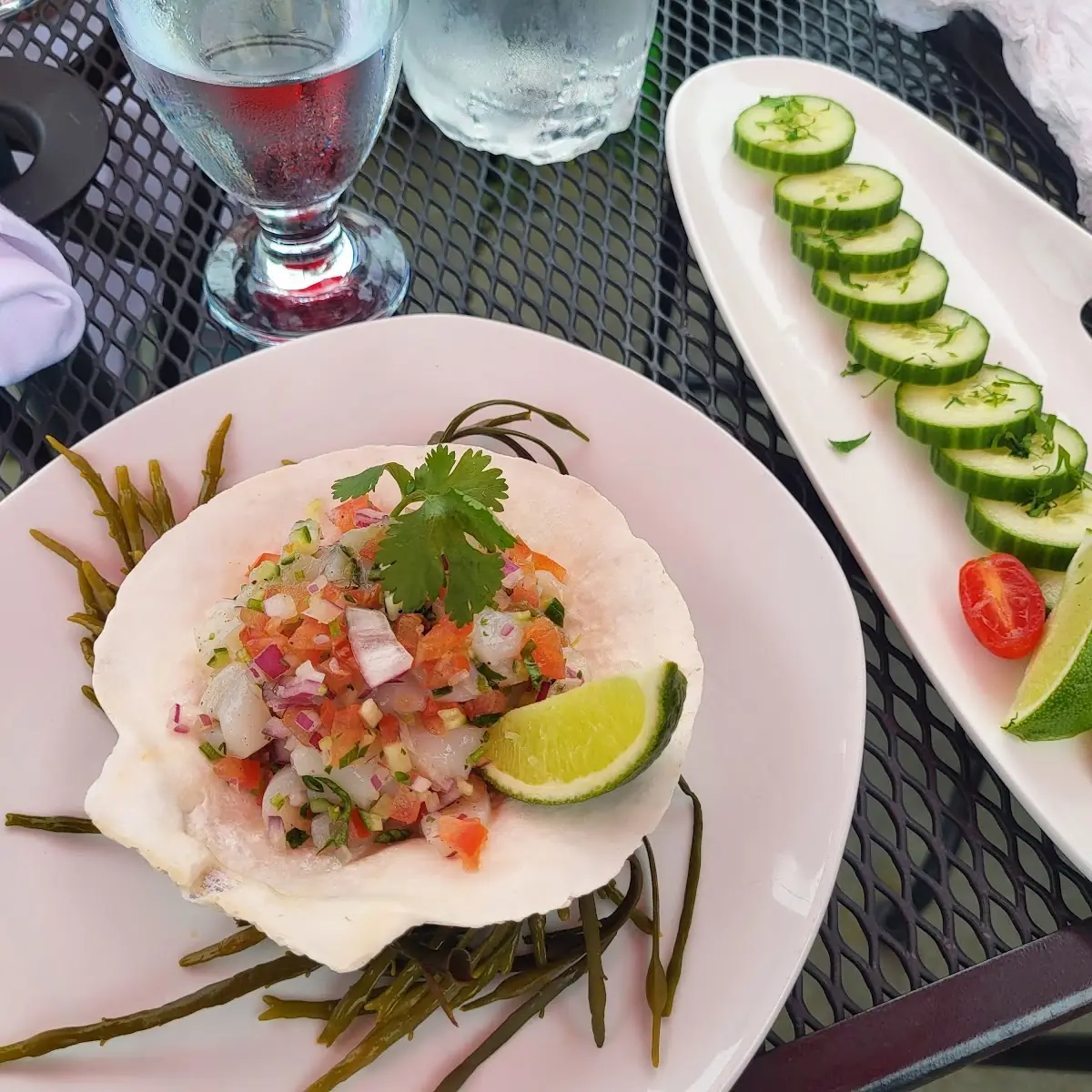 Ceviche, Sage In The Garden