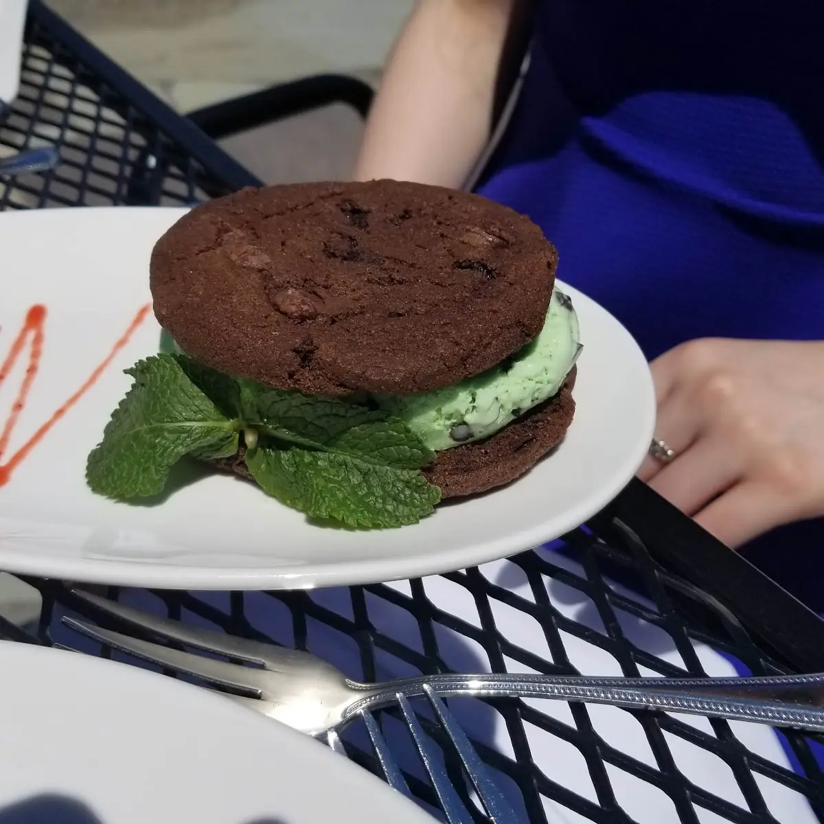 Mint Chocolate Chip Ice Cream Sandwich, Sage In The Garden