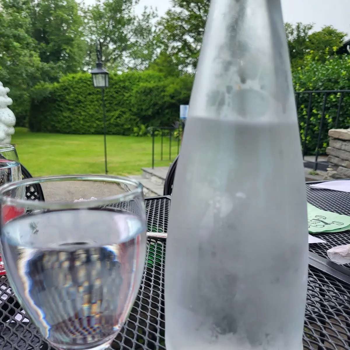 Water Pitcher, Sage In The Garden