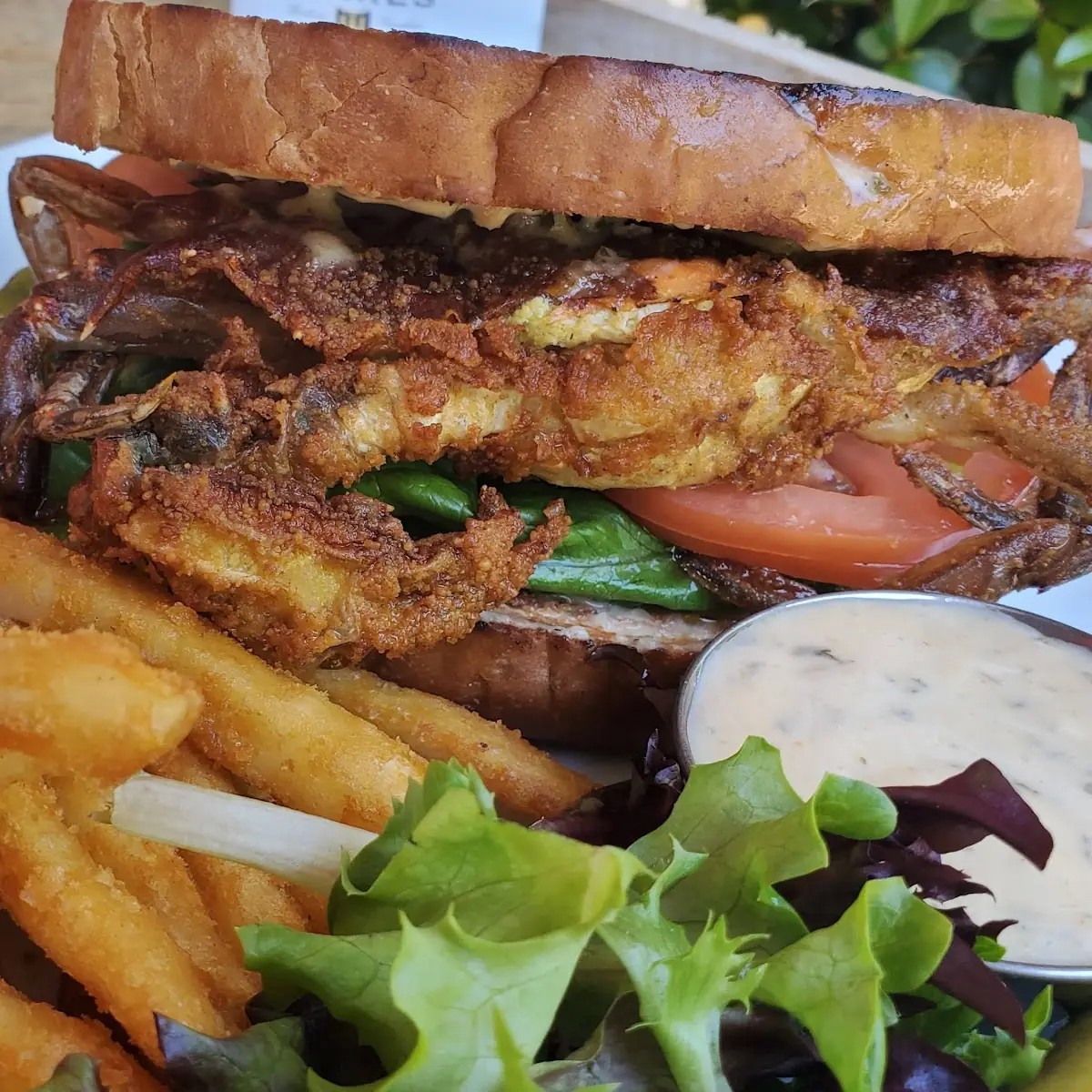 Soft Shell Crab Cake Sandwich