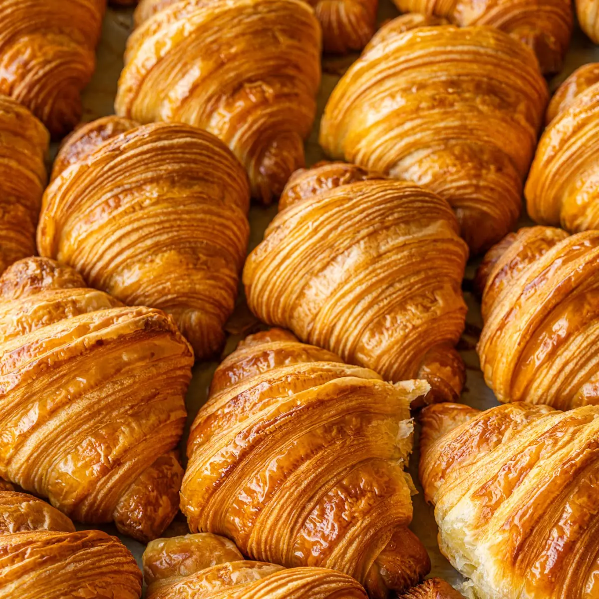Homemade Butter Croissant