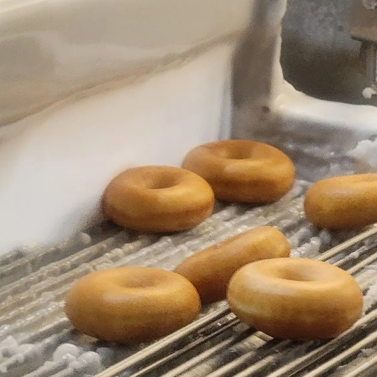 Plain Donuts