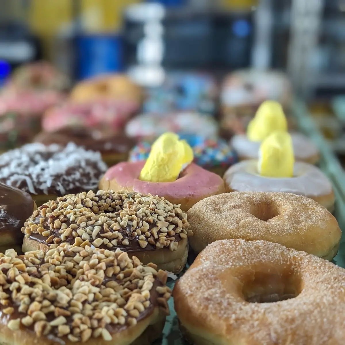 Doughnut