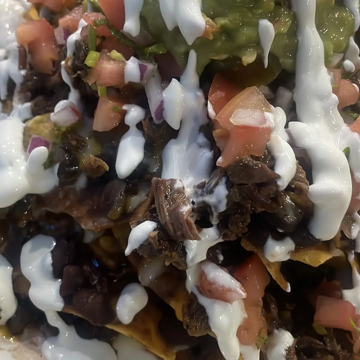 Carne Asada Fries