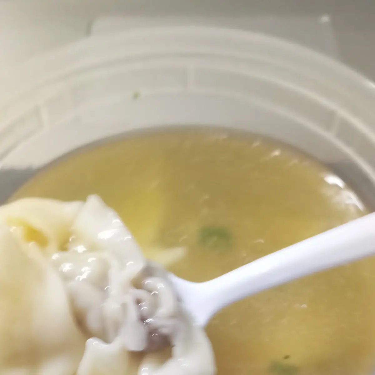 Wonton Soup