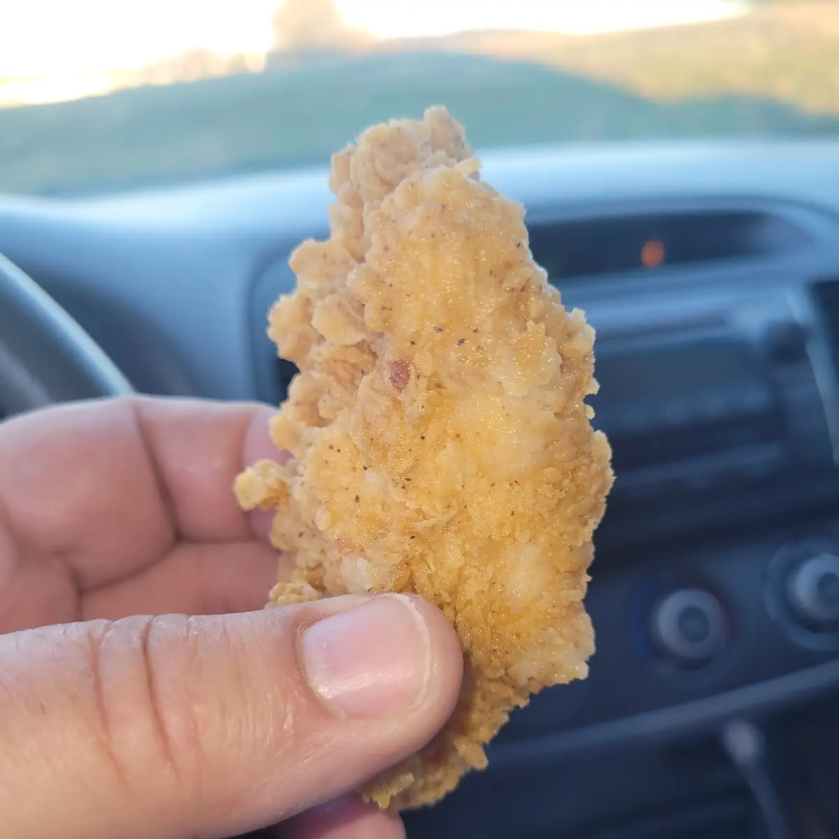 A 3 Chicken Strip