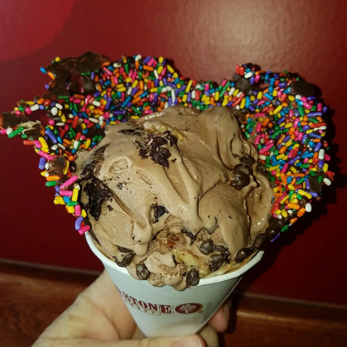 Chocolate Ice Cream Brownie