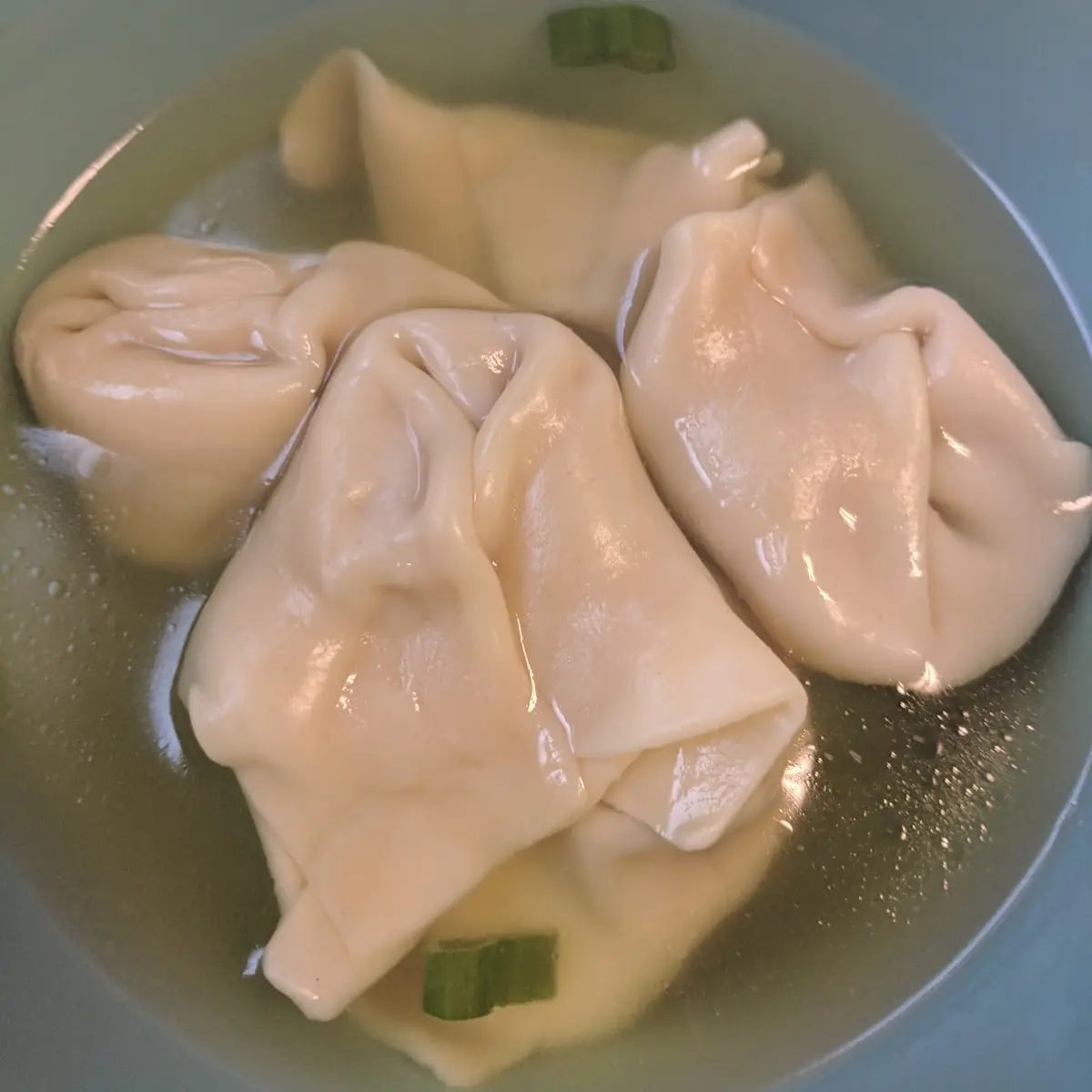 Wonton Soup