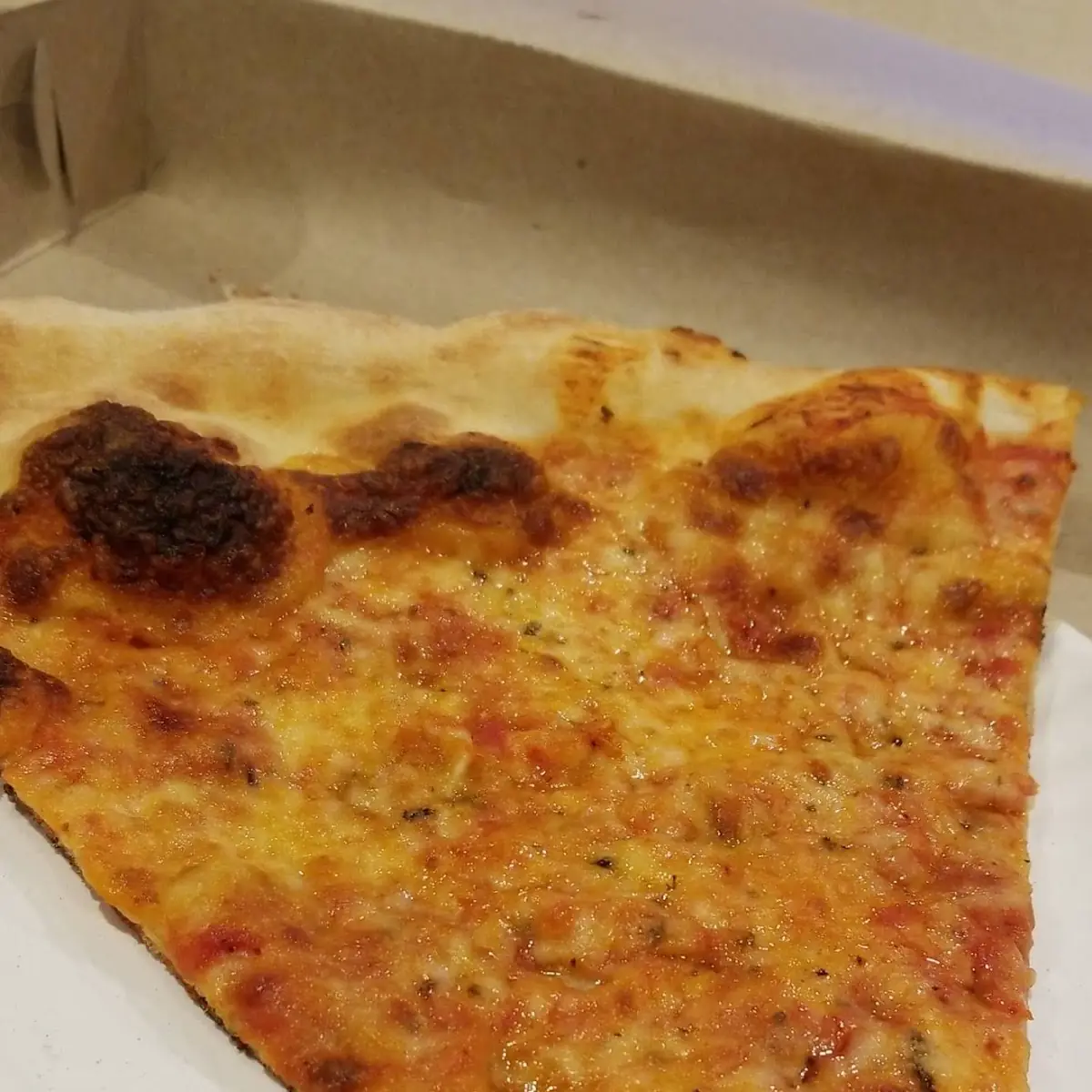 Cheese Pizza