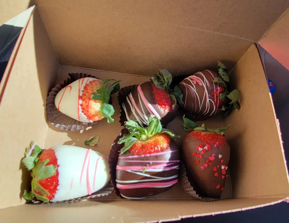 Chocolate Covered Strawberries