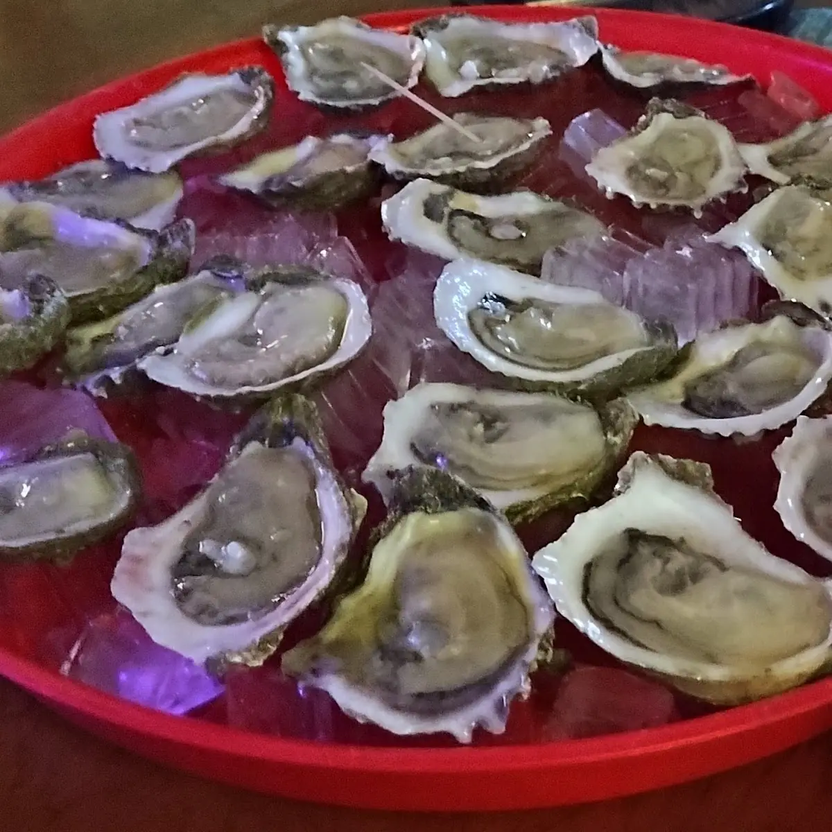 Oysters on the Half Shell