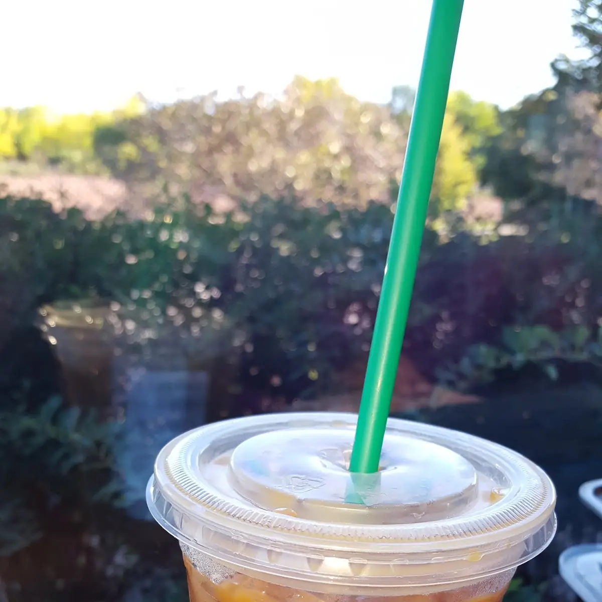 Thai Tea