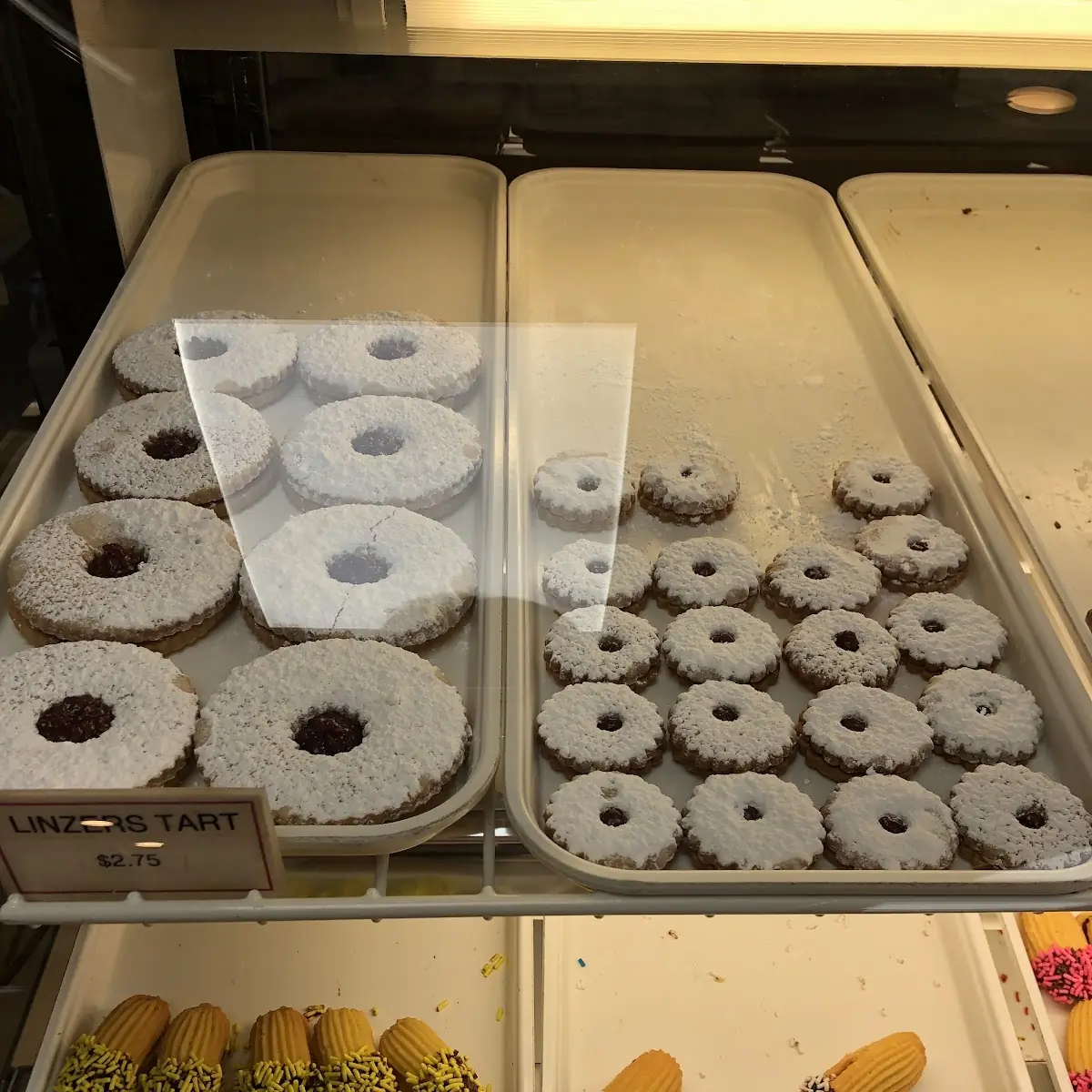 Doughnut