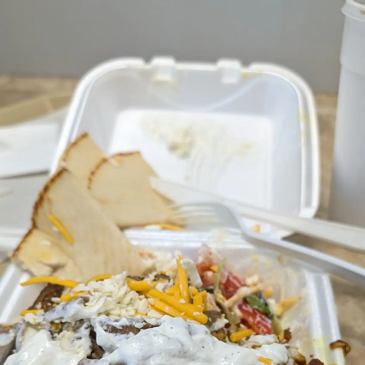 Gyro Sandwich