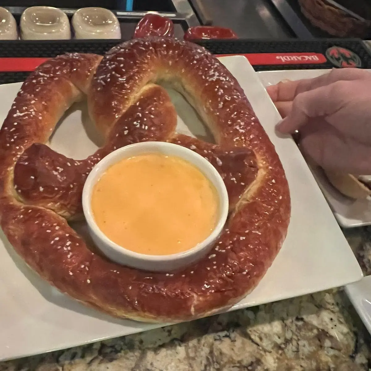 Jumbo Pretzel Sticks