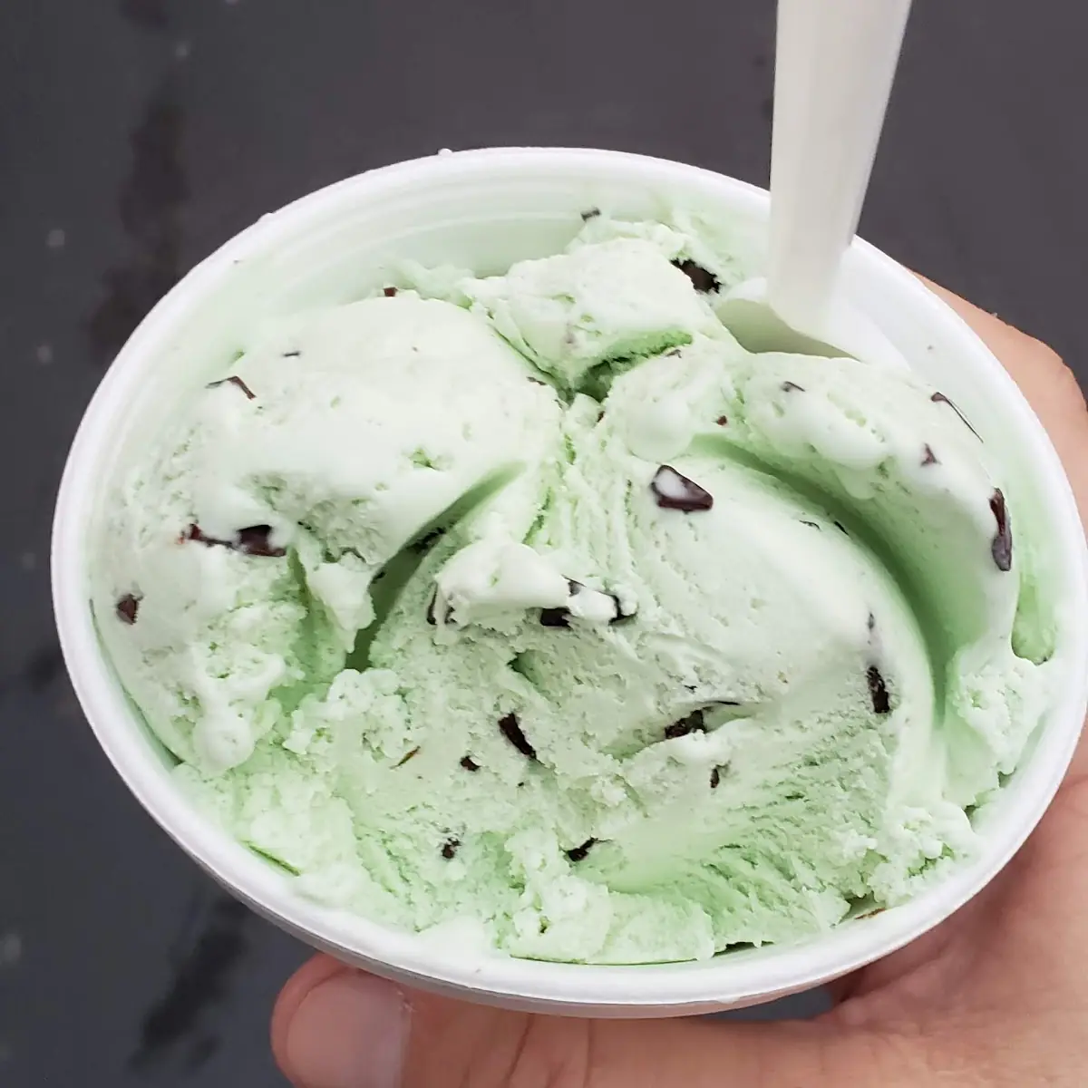 Mint Chocolate Chip
