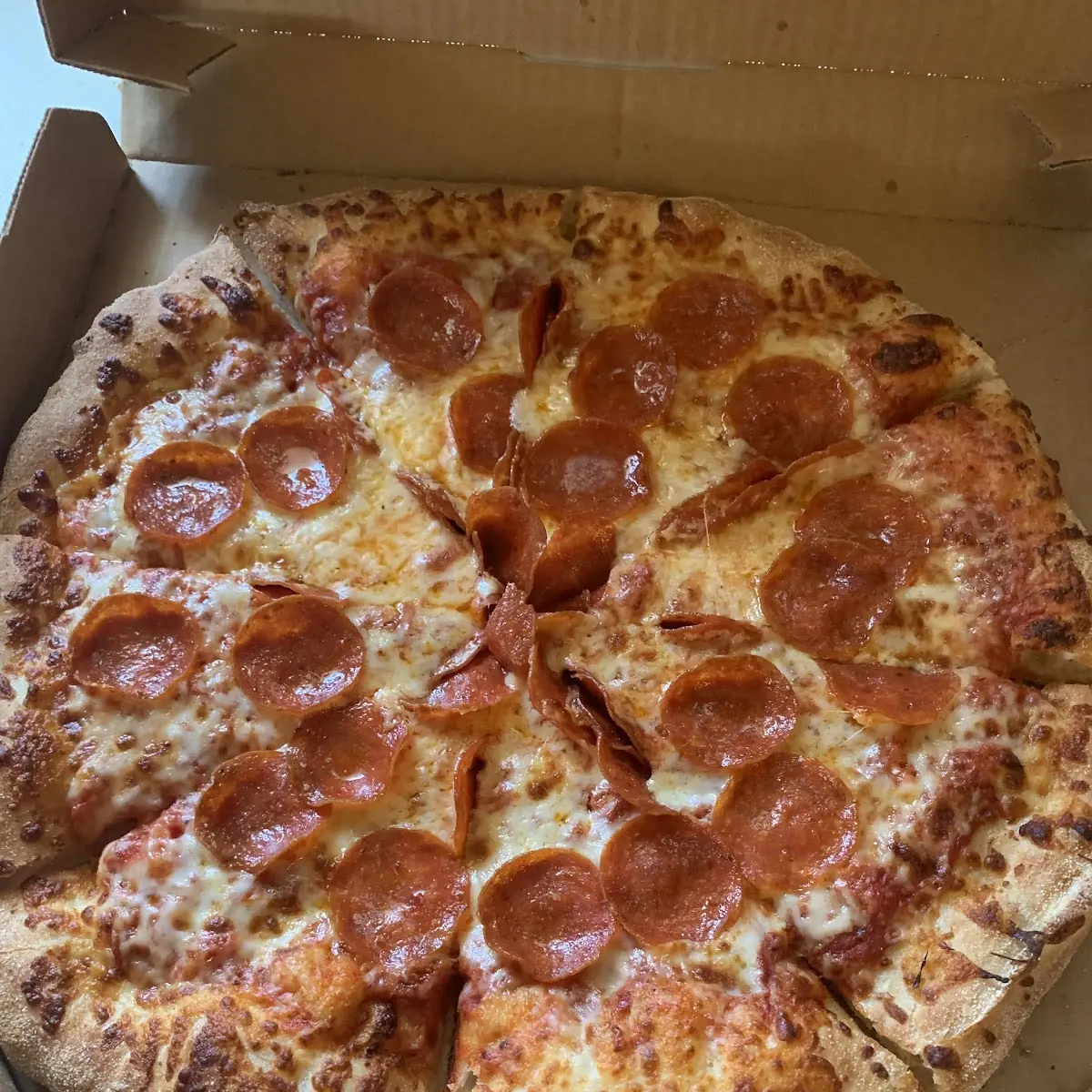 Cheese and Pepperoni Pizza