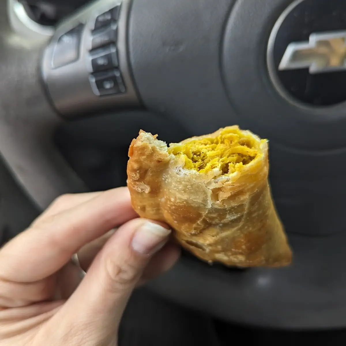 Beef Empanada