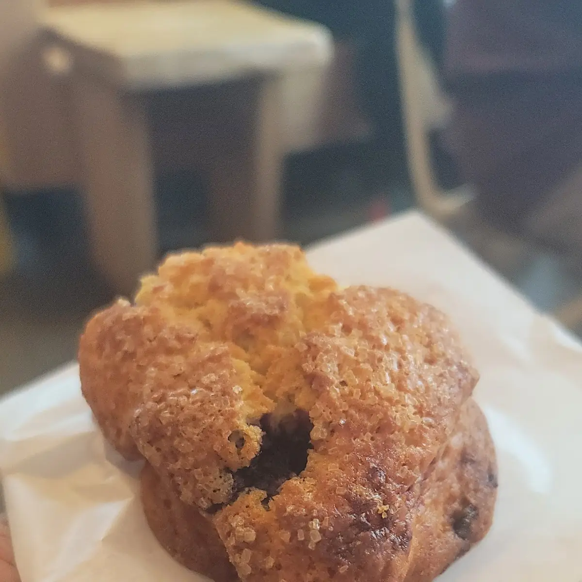 Blueberry Muffin