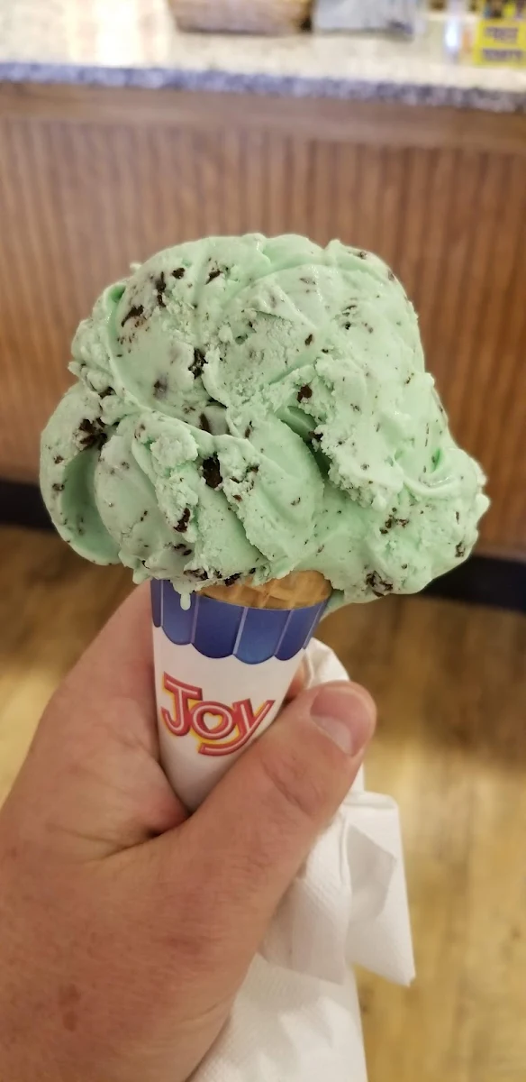 Mint Chocolate Ice Cream