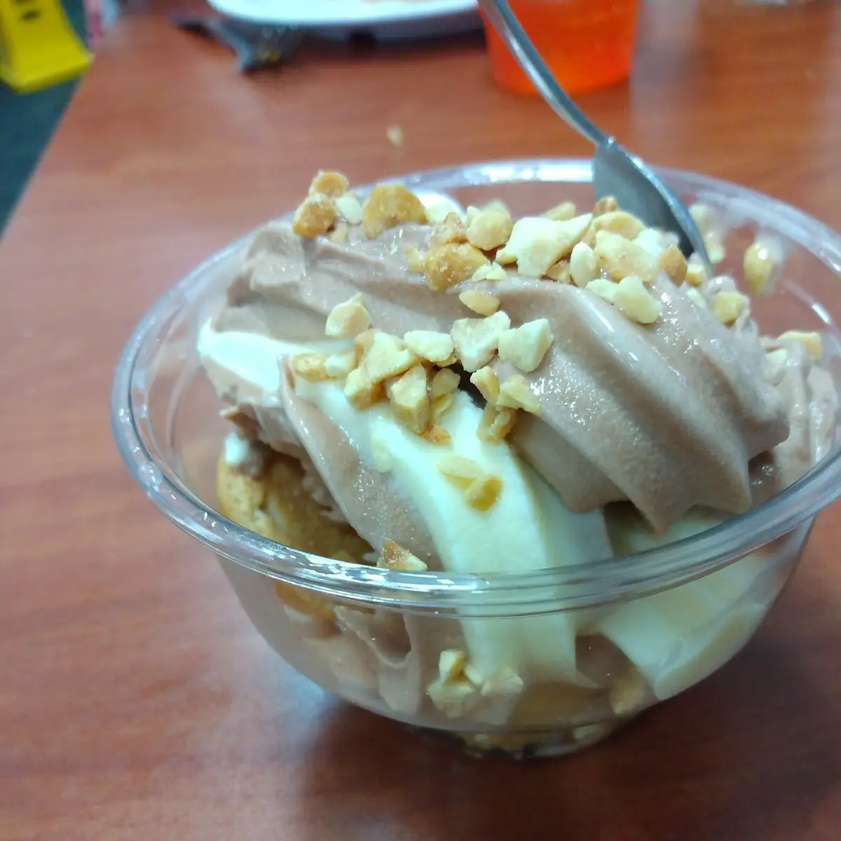 Swirl Chocolate Ice Cream