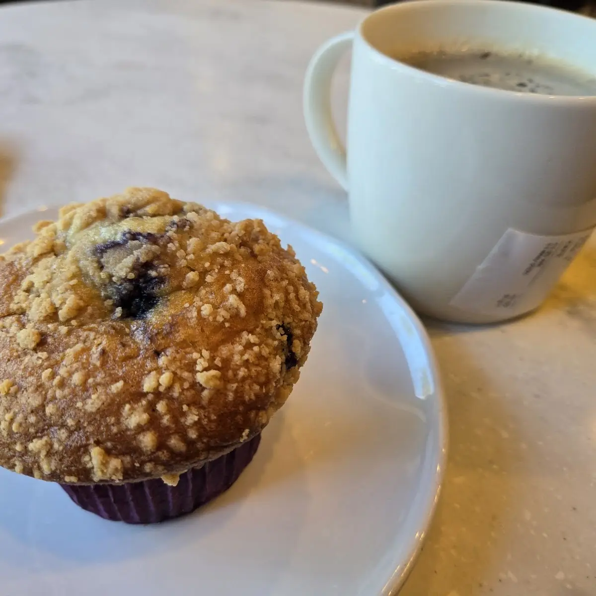 Blueberry Muffin