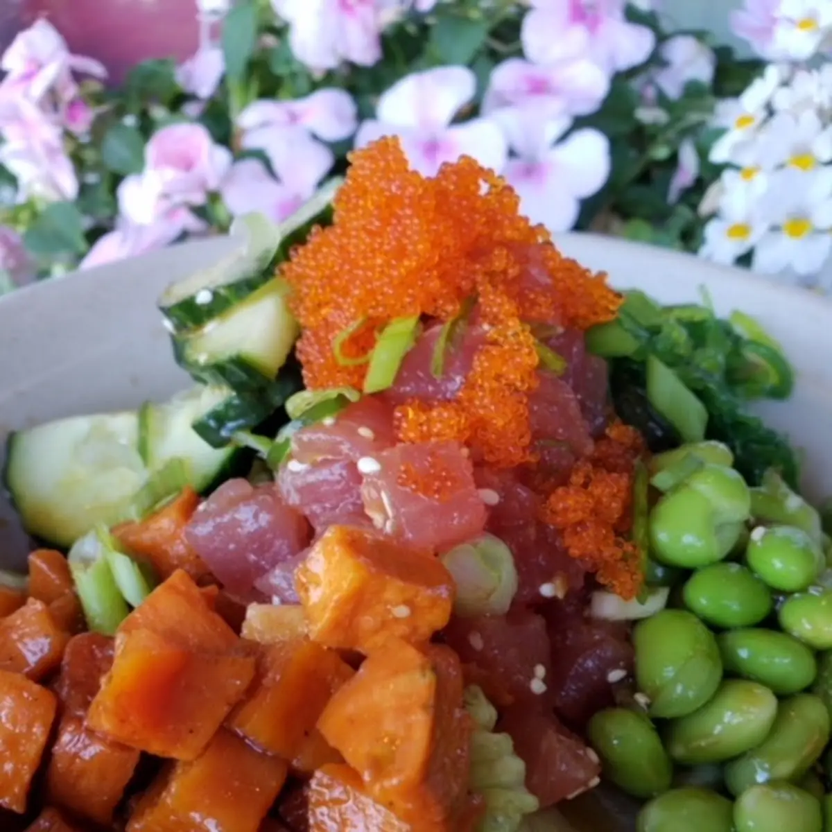 Poke Bowl