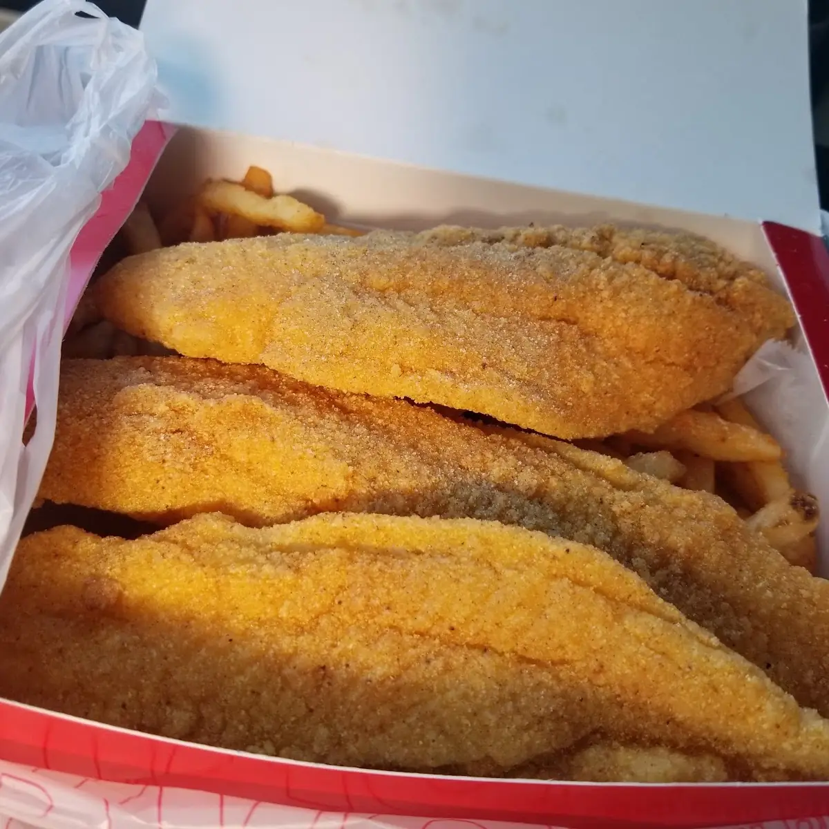 Catfish Fillet