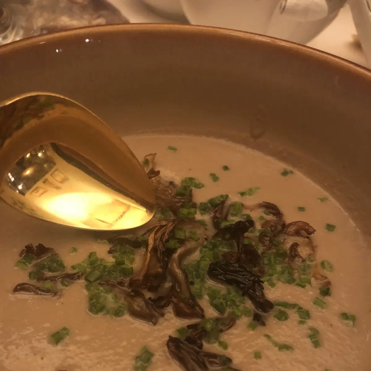 Turtle Soup