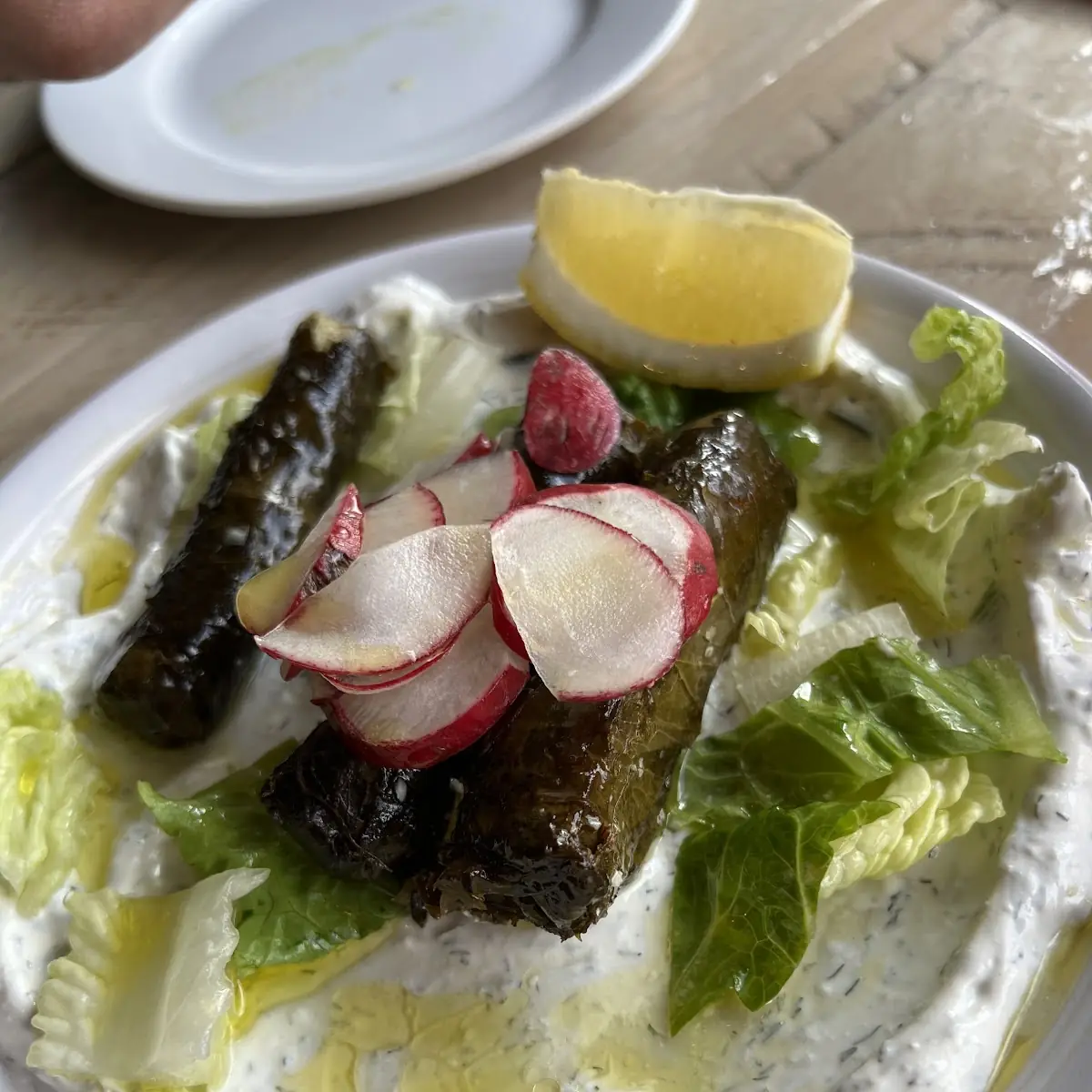 Stuffed Grape Leaves -Meat