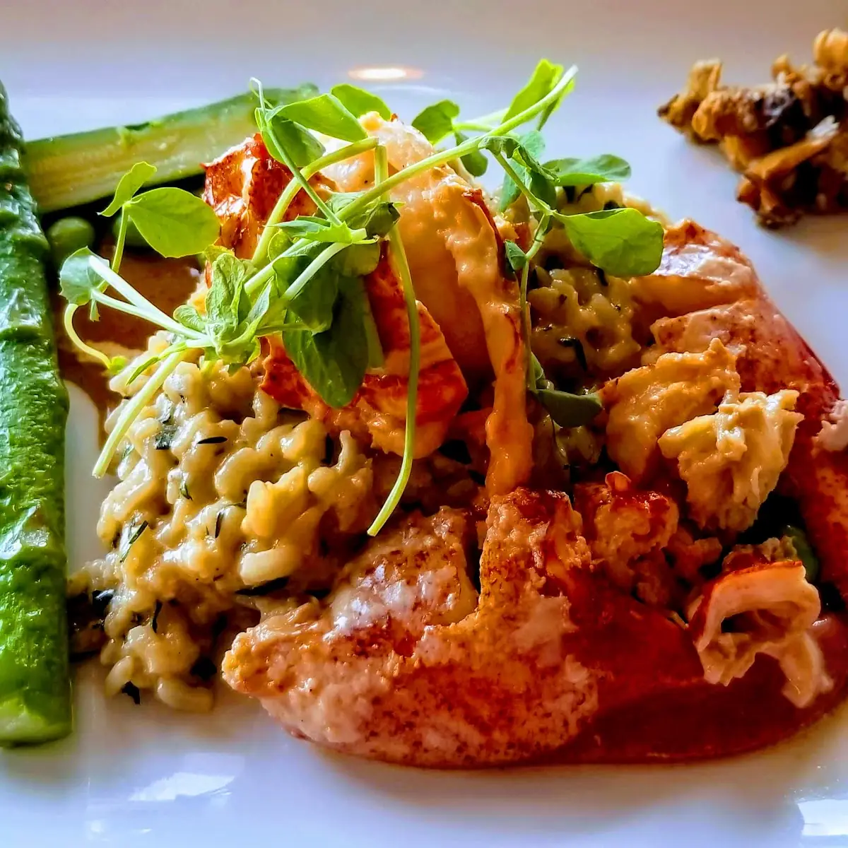 Lobster Risotto