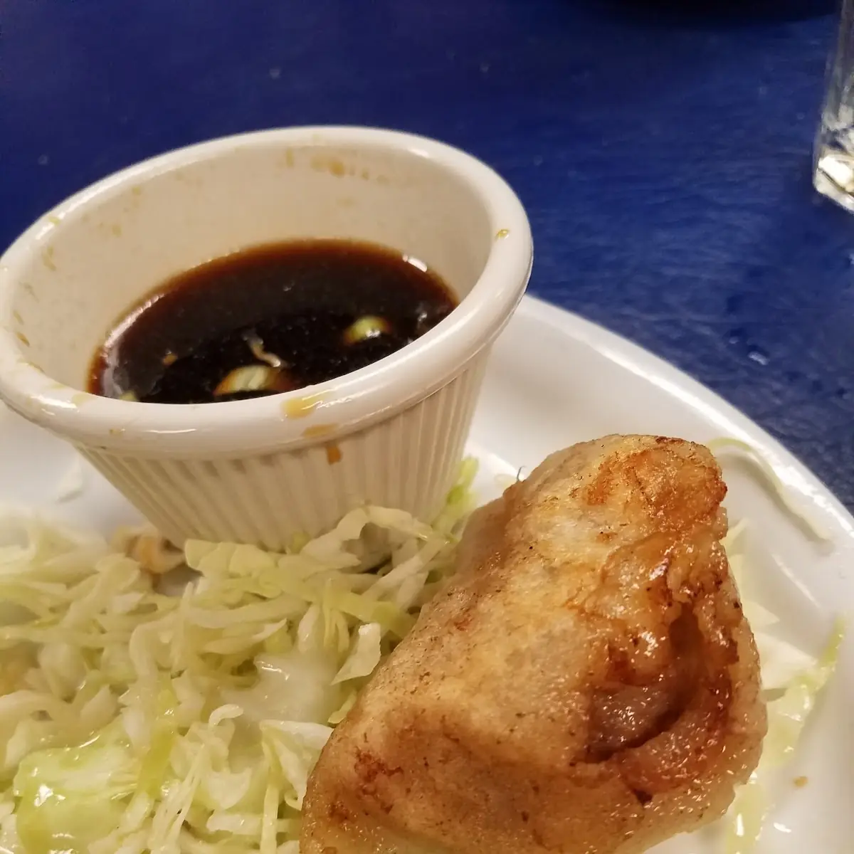 Fried Meat Dumplings (6 pcs)