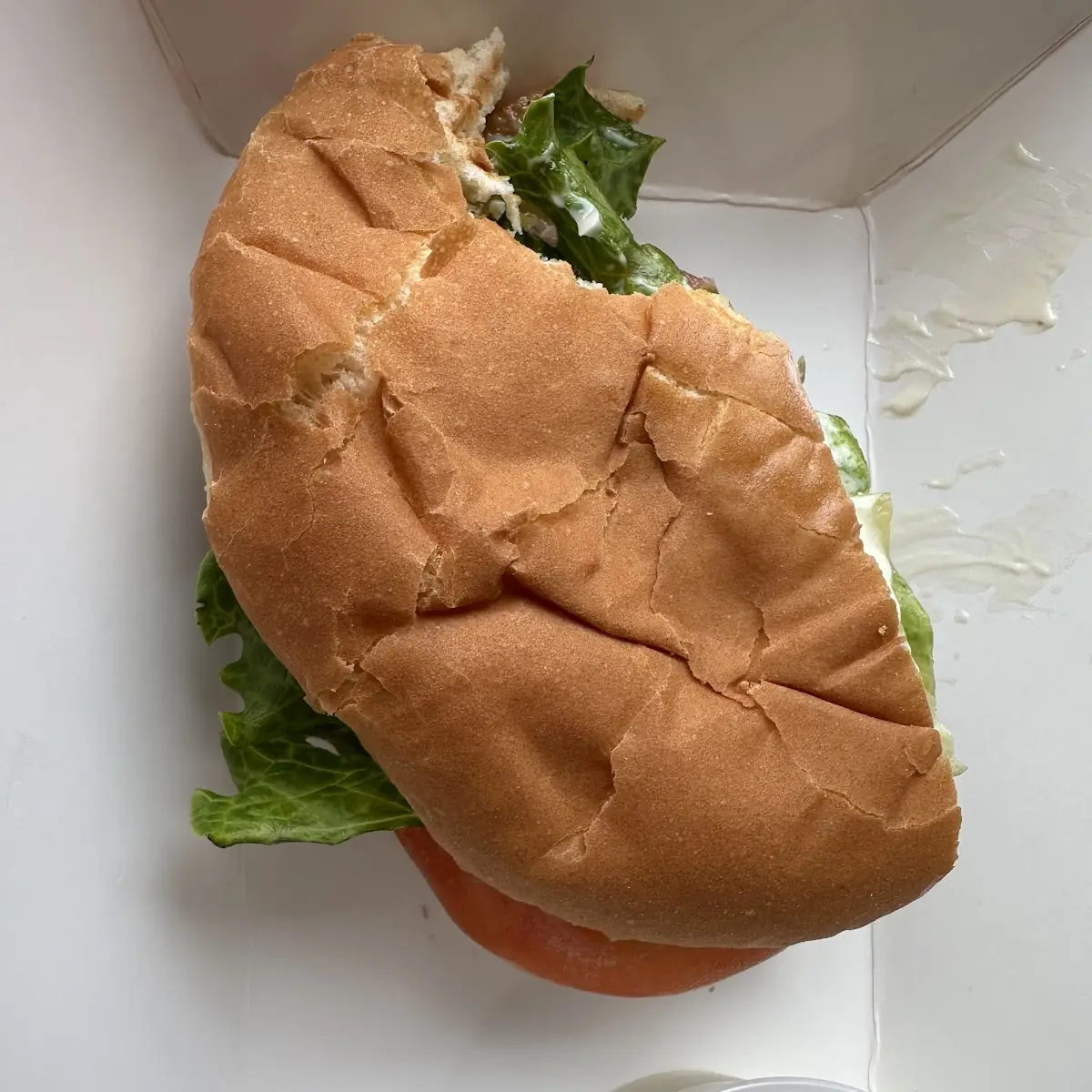 1 3 Pound Burger