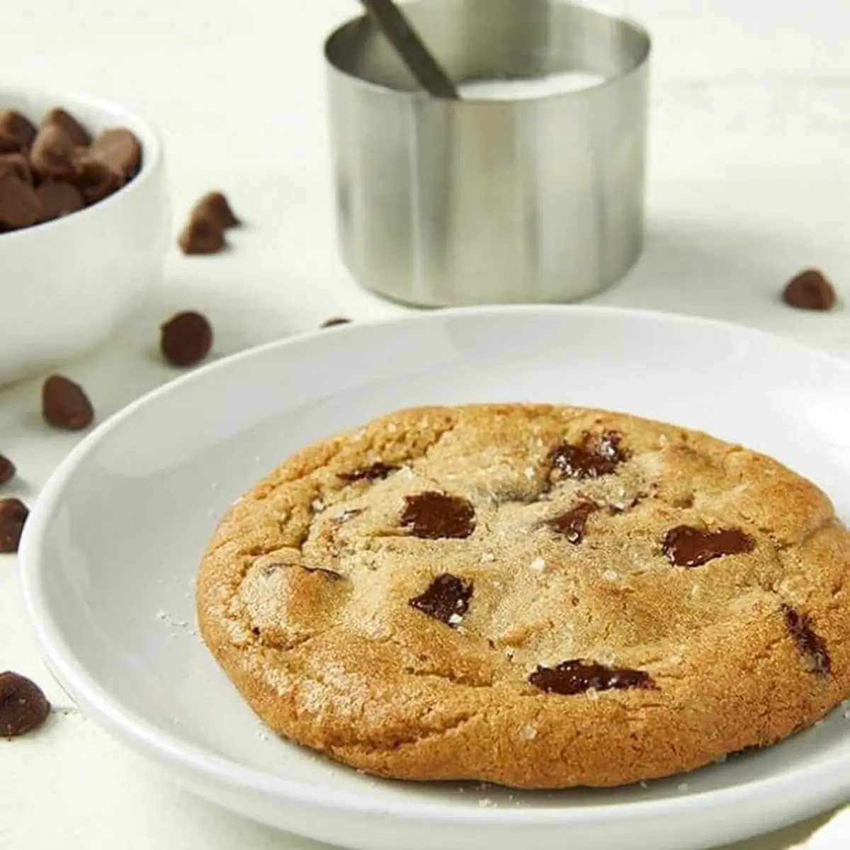 Chocolate Chip Cookie