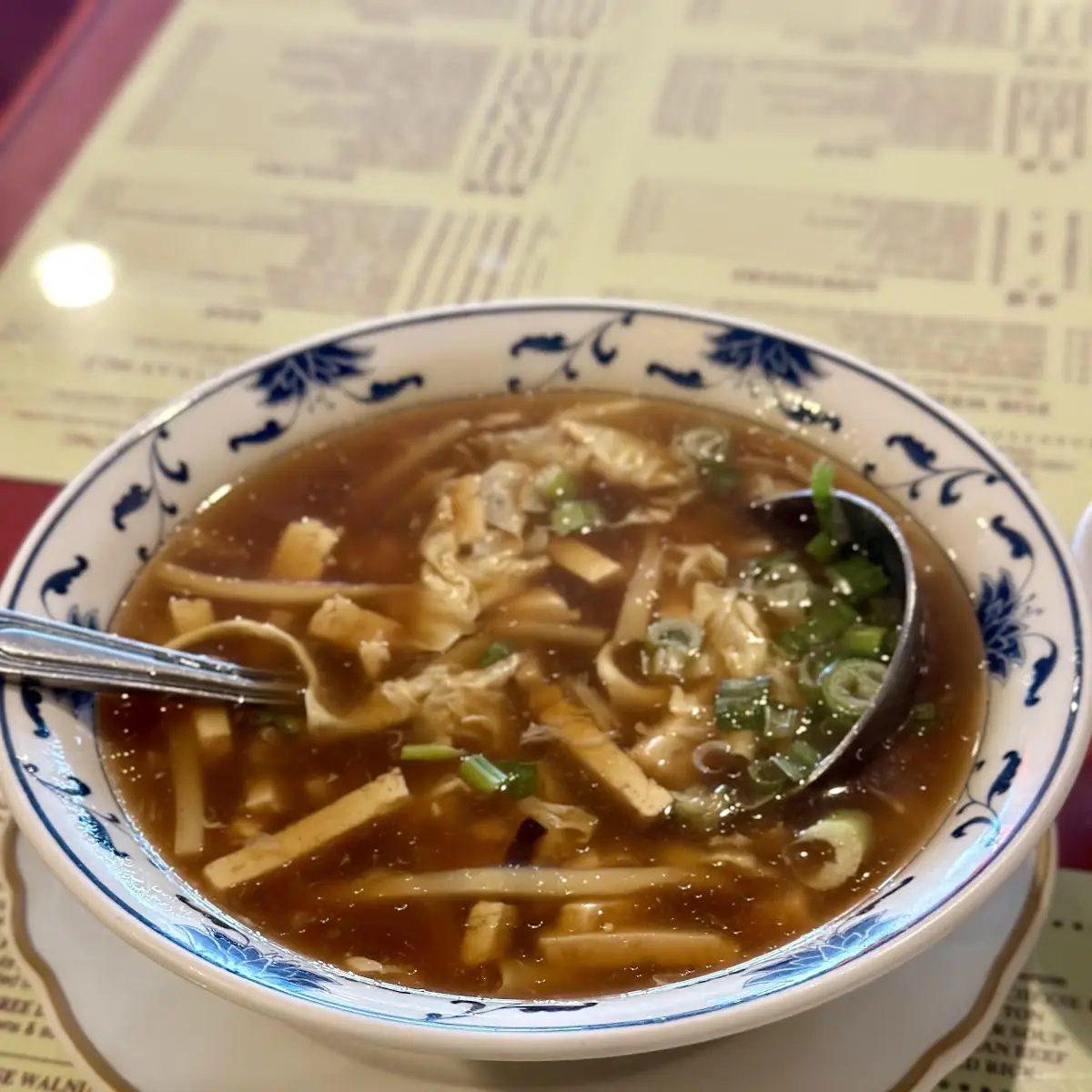 Hot and Sour Soup