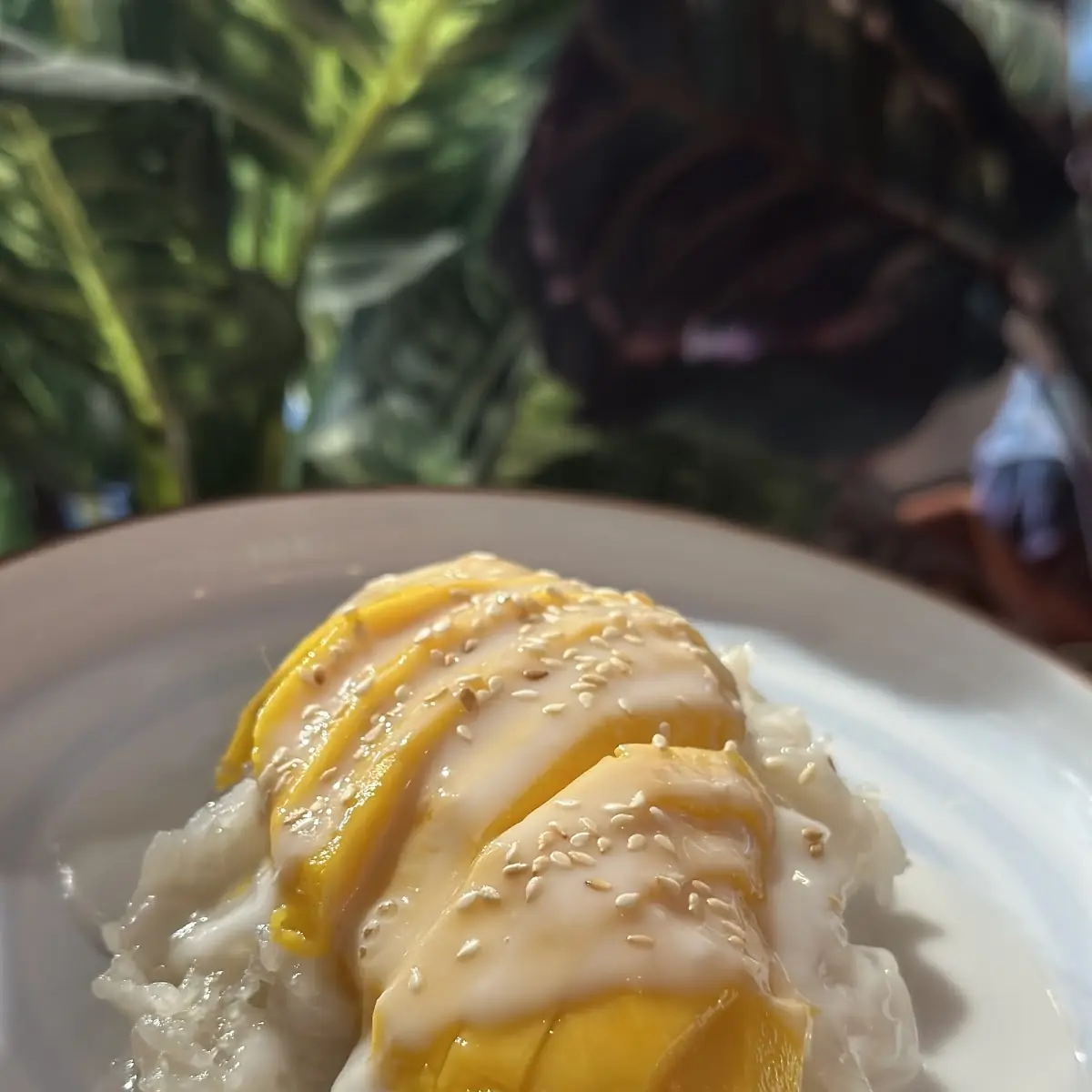 Fresh Mango w Sweet Sticky Rice