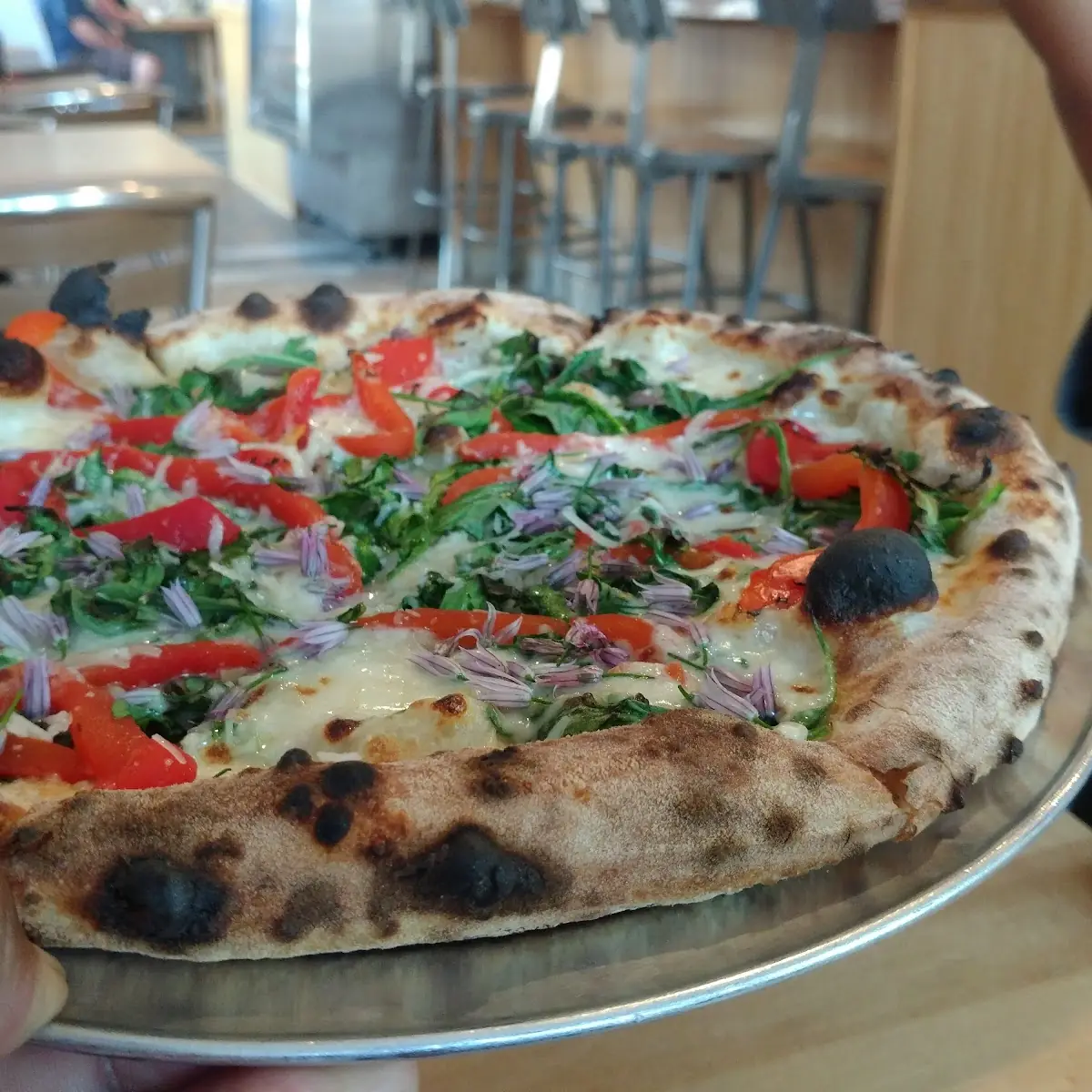 Pizza Kit