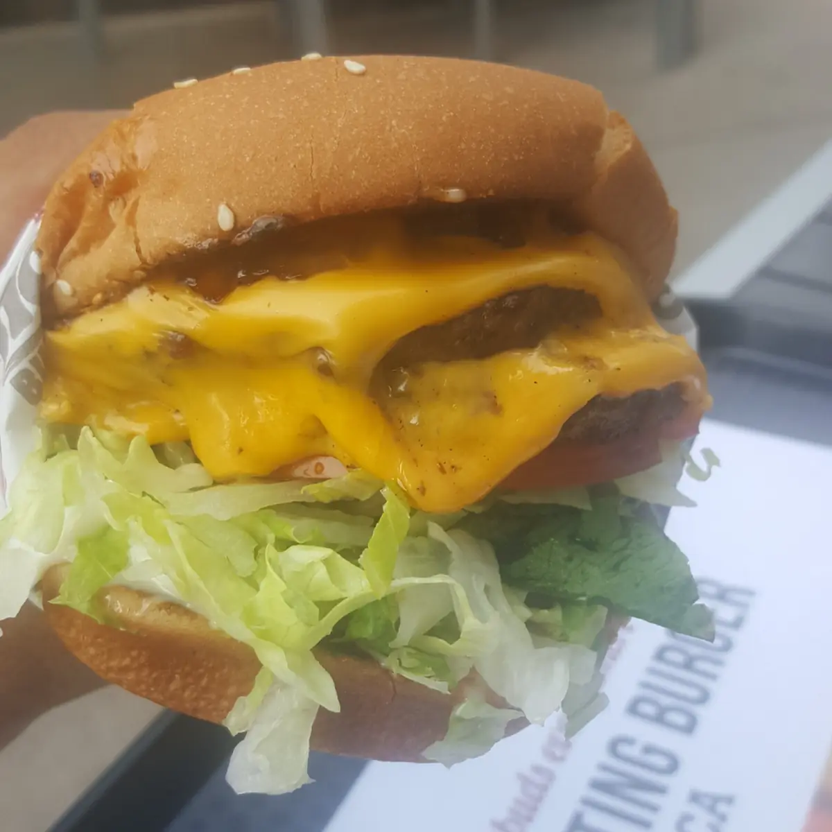 Double Cheeseburger Combo