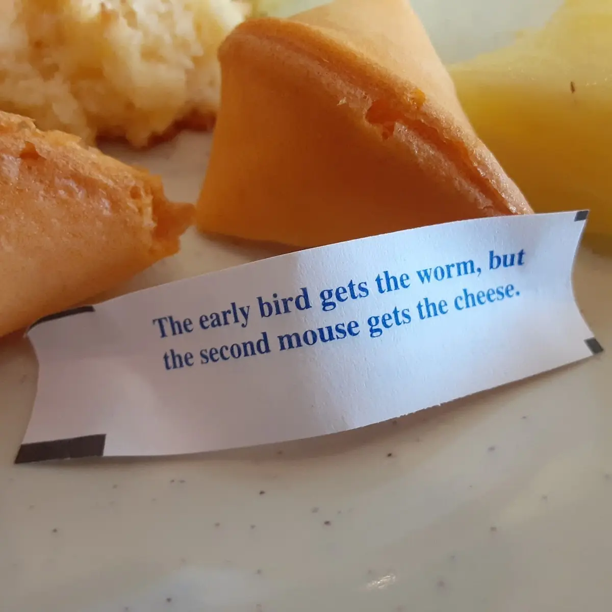Fortune Cookie