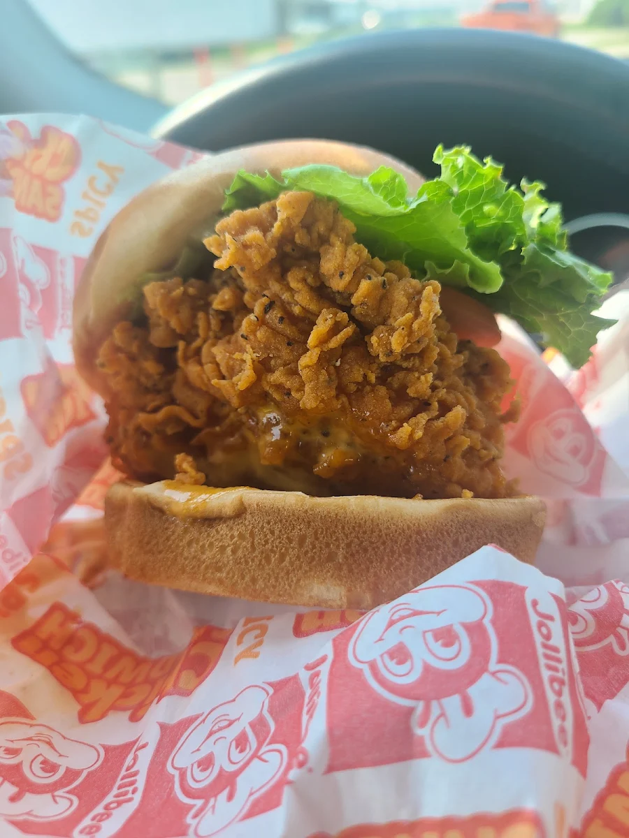 Spicy Chicken Sandwich Combo