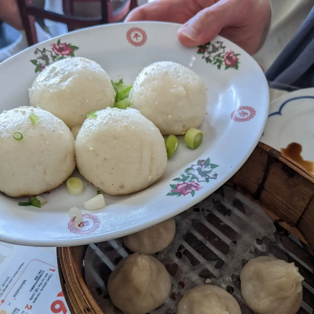 Fried Dumplings