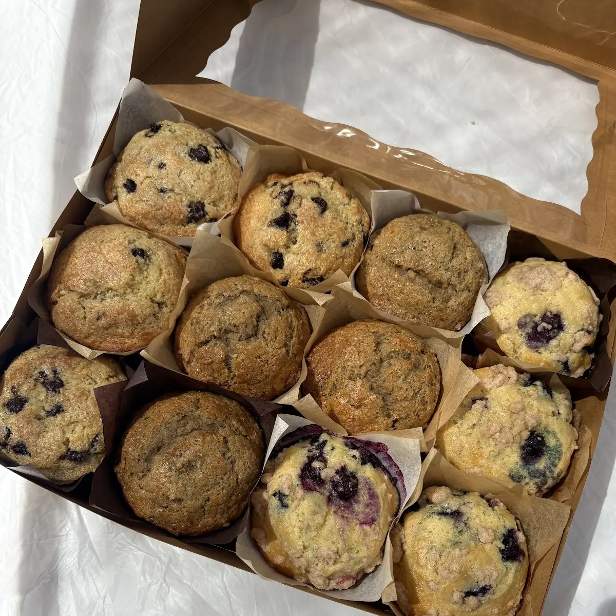 Blueberry Muffin