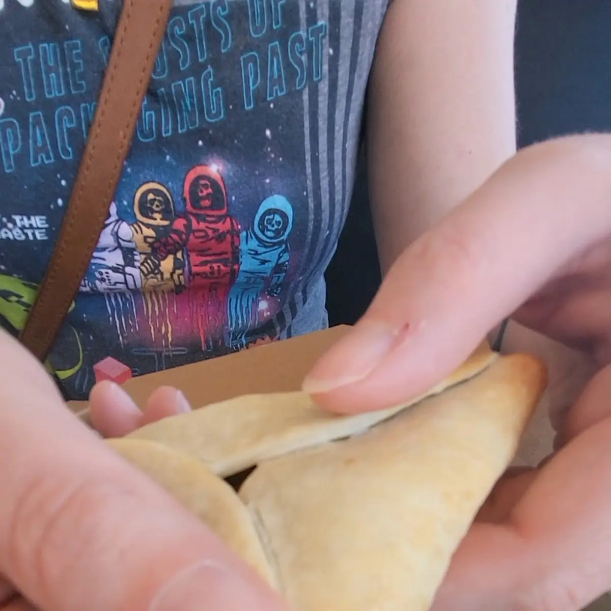 Lemon Beef Empanada