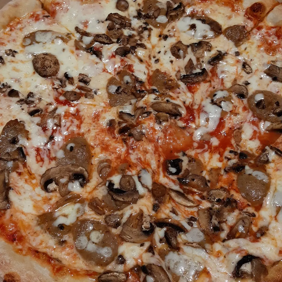 Mushroom Pizza