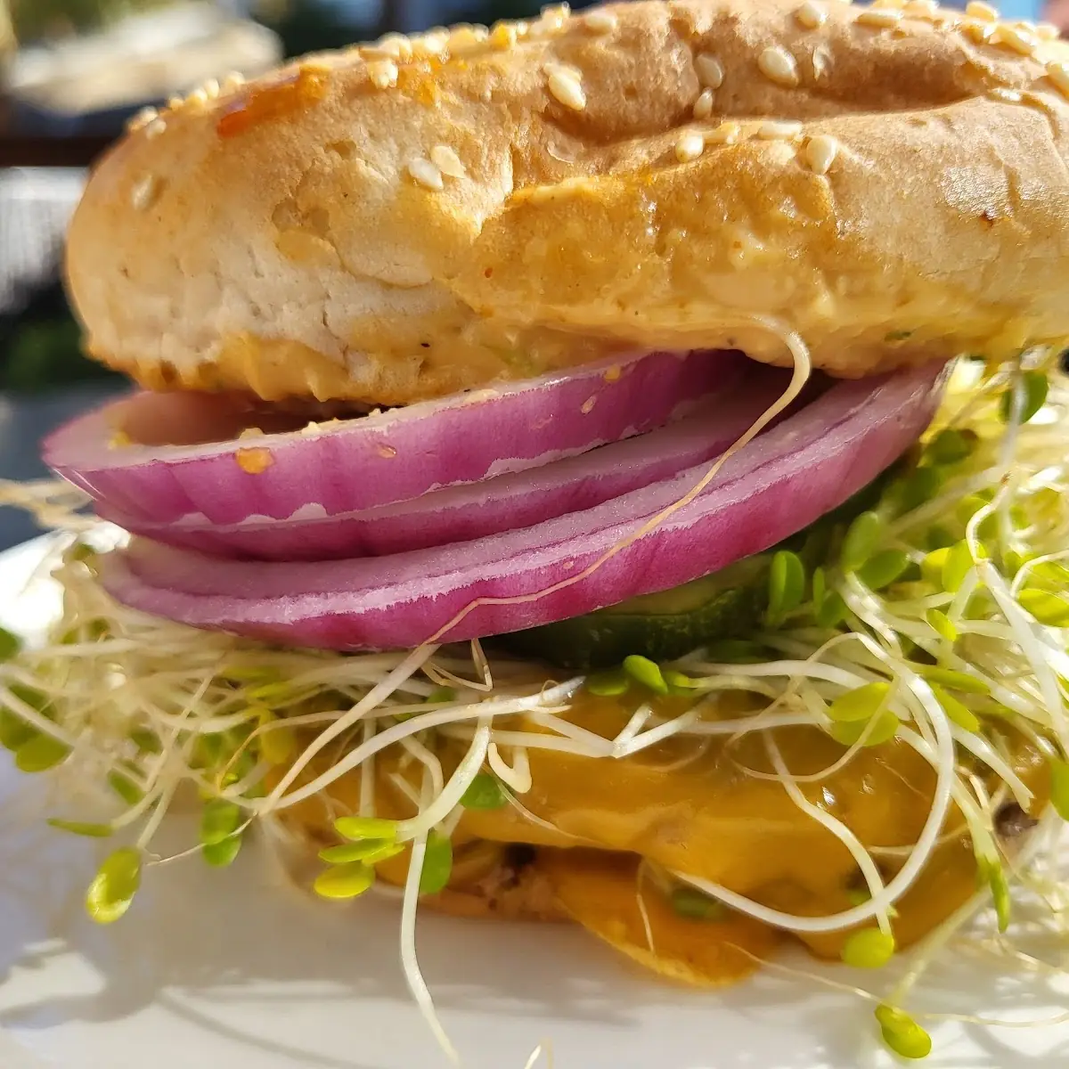 Mushroom Burger