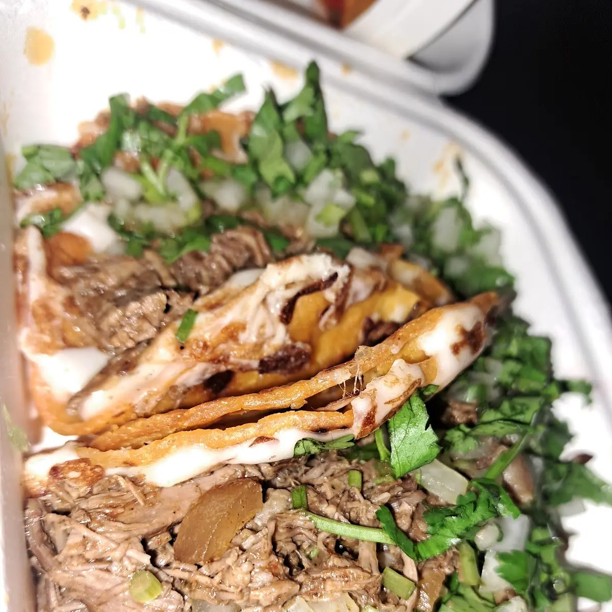 Carnitas Tacos