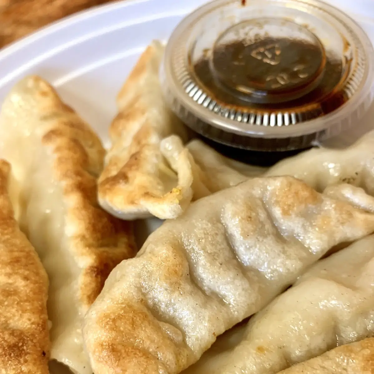 Fried Dumplings