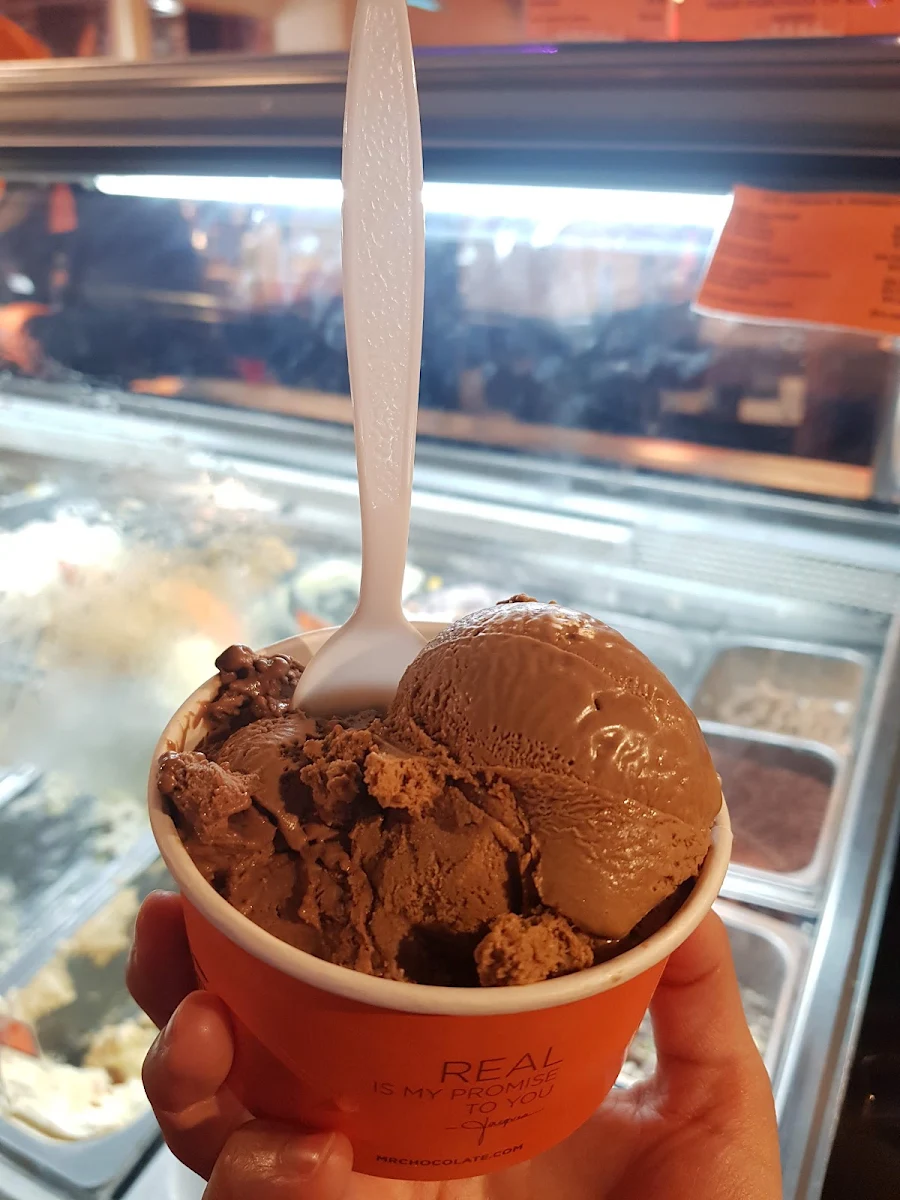 Home-Made Chocolate Ice Cream