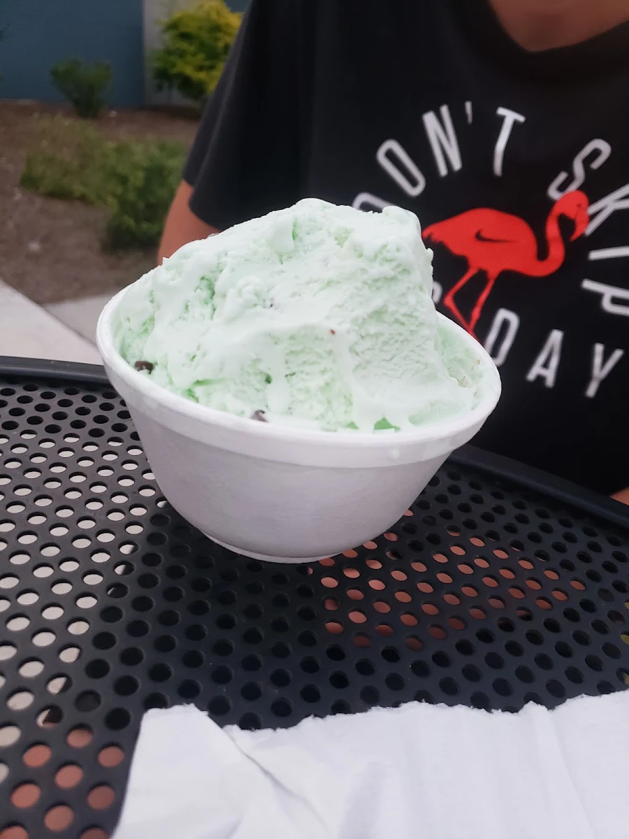 Double Scoop Mint Chocolate Chip