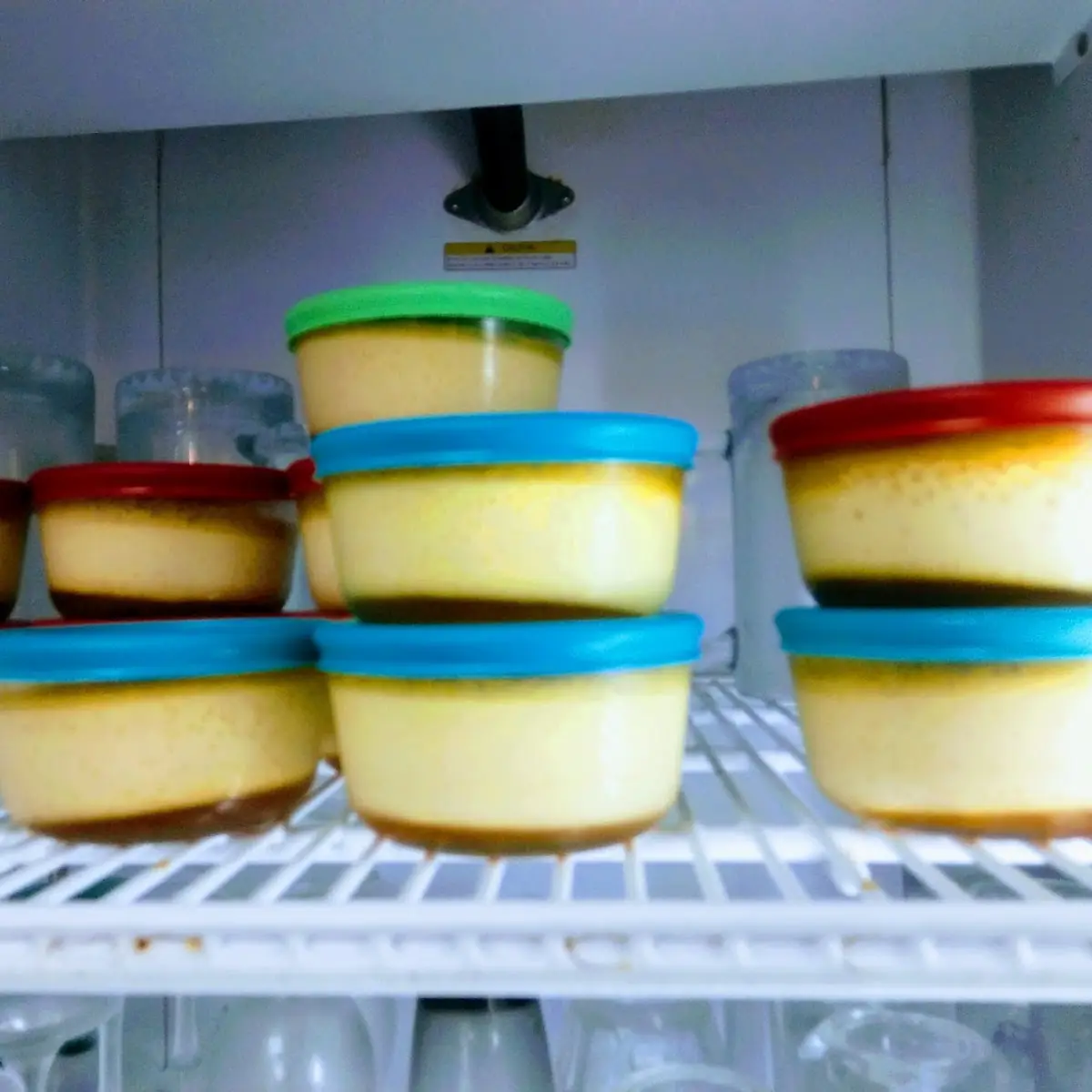 Home Made Flan